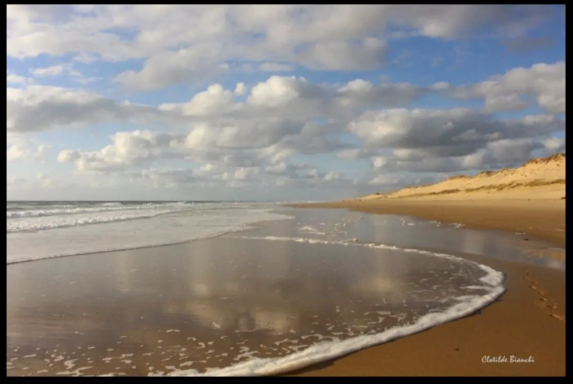 Clotilde, Photographe